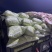 蚕豆、豆米、豆瓣、价格便宜、质量**
