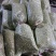 蚕豆、豆米、豆瓣、价格便宜、质量**