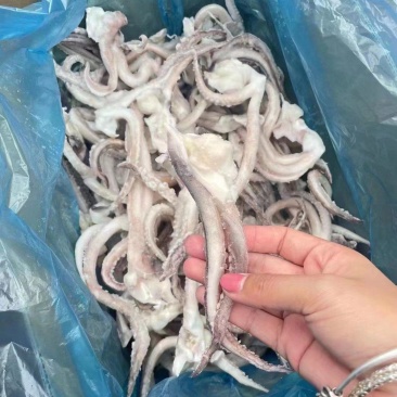 鱿鱼须，单冻真鱿，品质非常好，口感好，纯干货，欢迎咨询