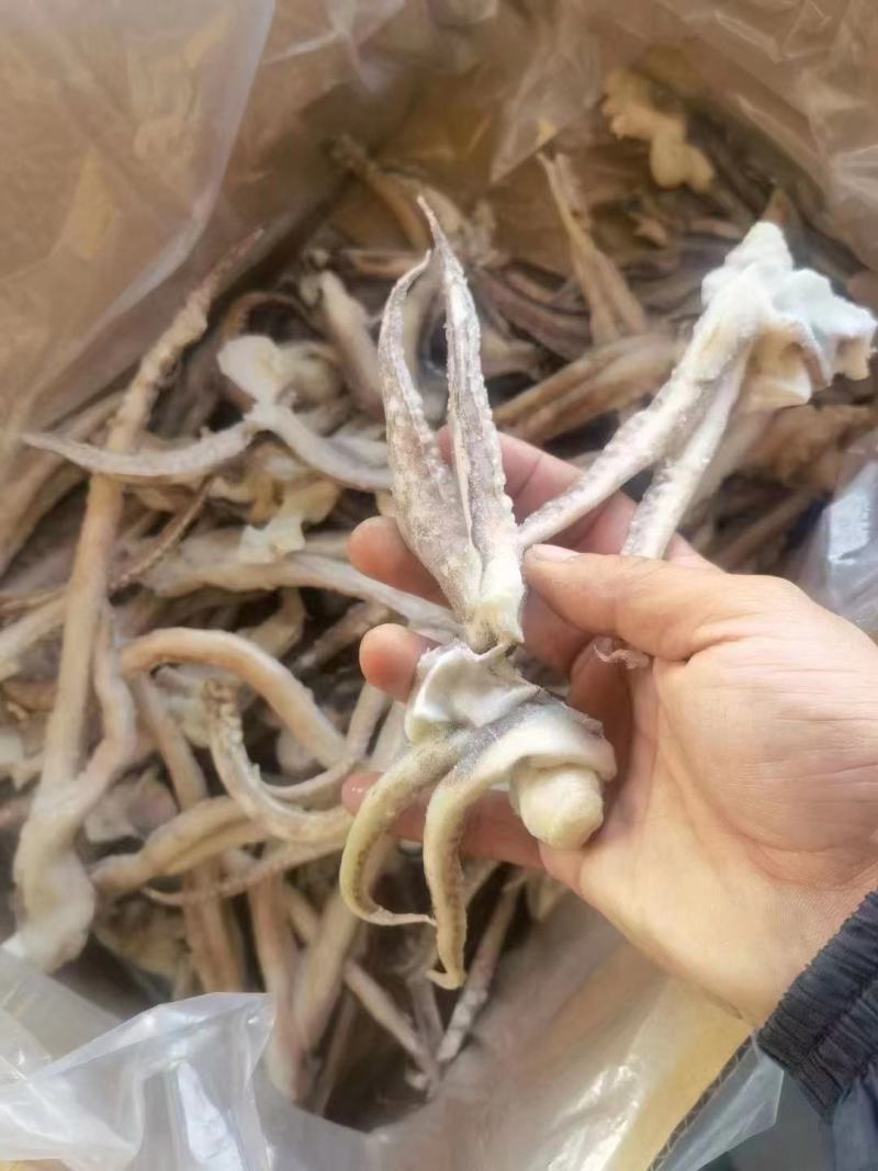 鱿鱼须，单冻真鱿，品质非常好，口感好，纯干货，欢迎咨询