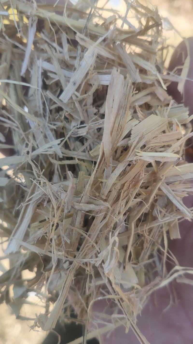 【草场直发】稻草铡段稻草小包网袋大捆五道绳