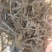 【草场直发】稻草铡段稻草小包网袋大捆五道绳