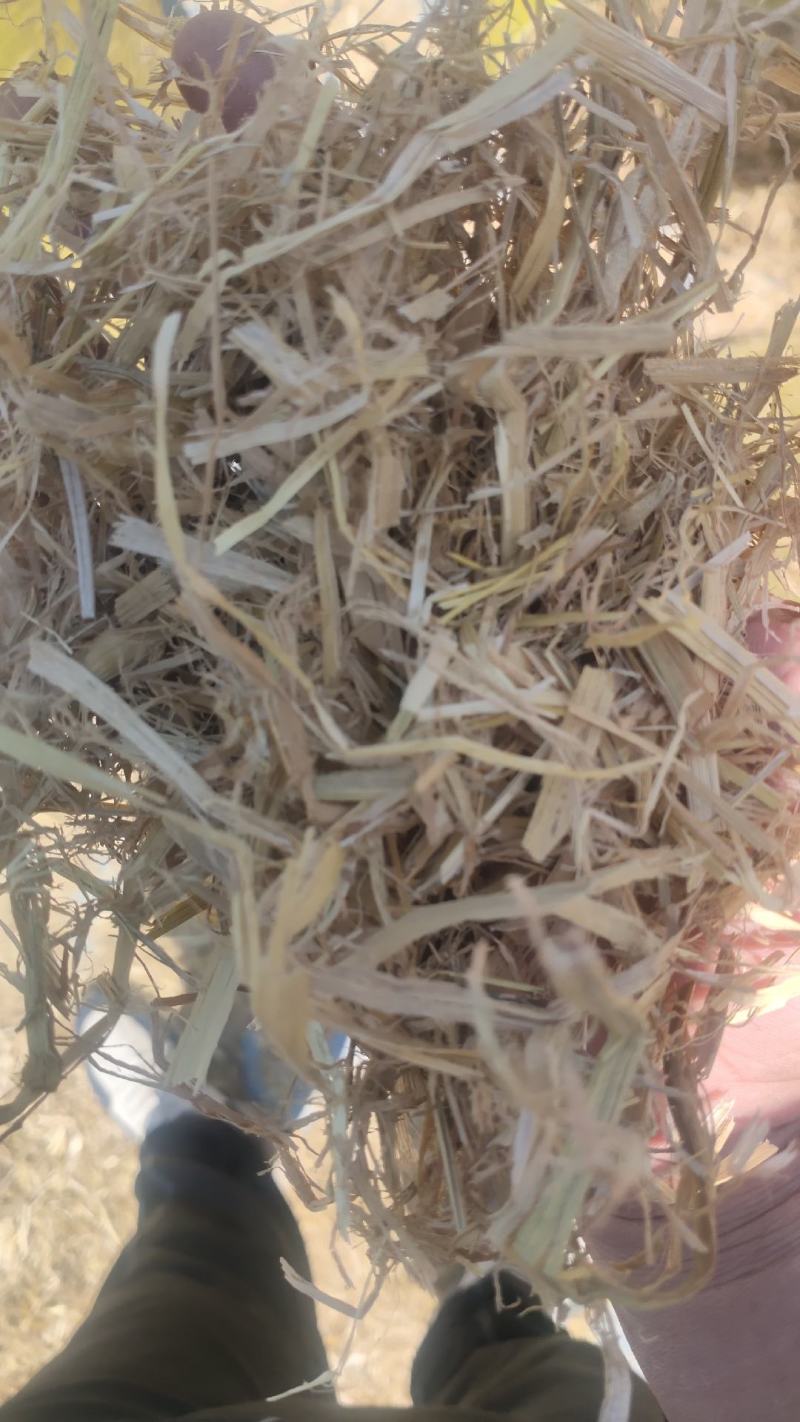 【草场直发】稻草铡段稻草小包网袋大捆五道绳