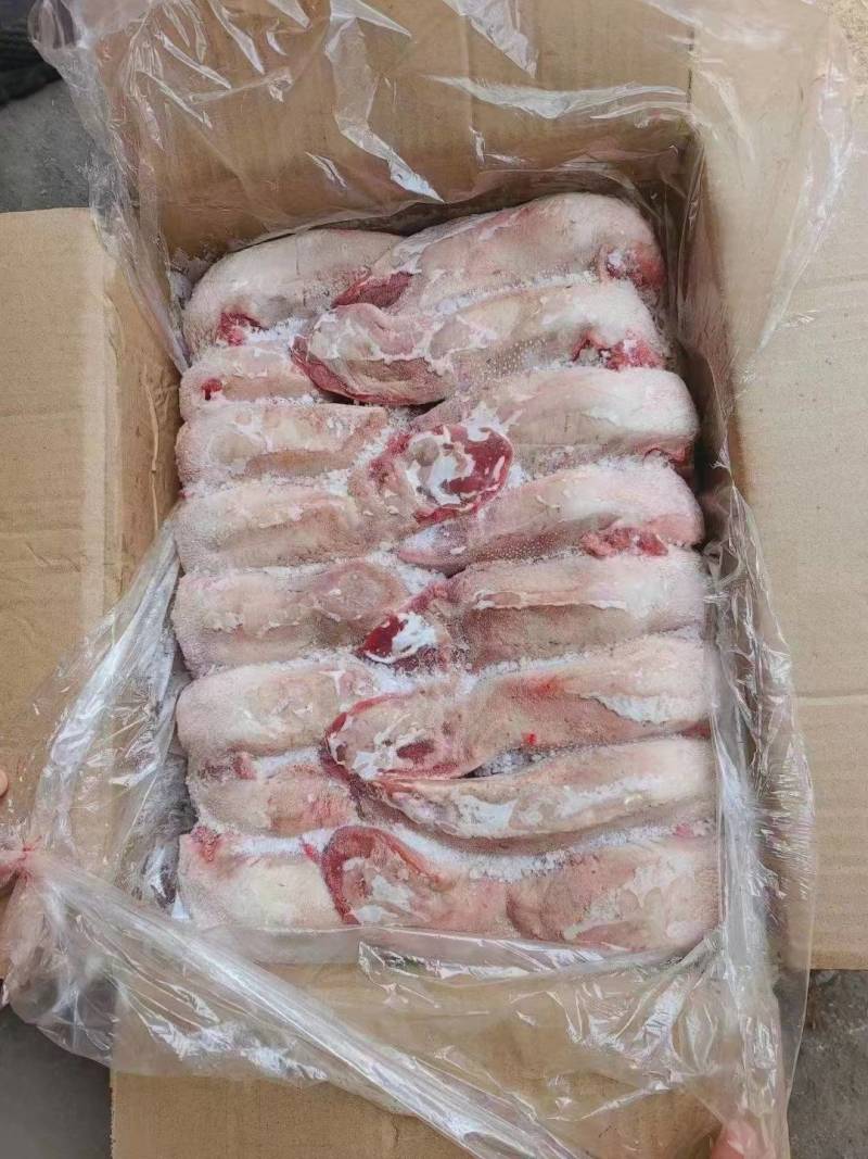 不带舌根的口舌