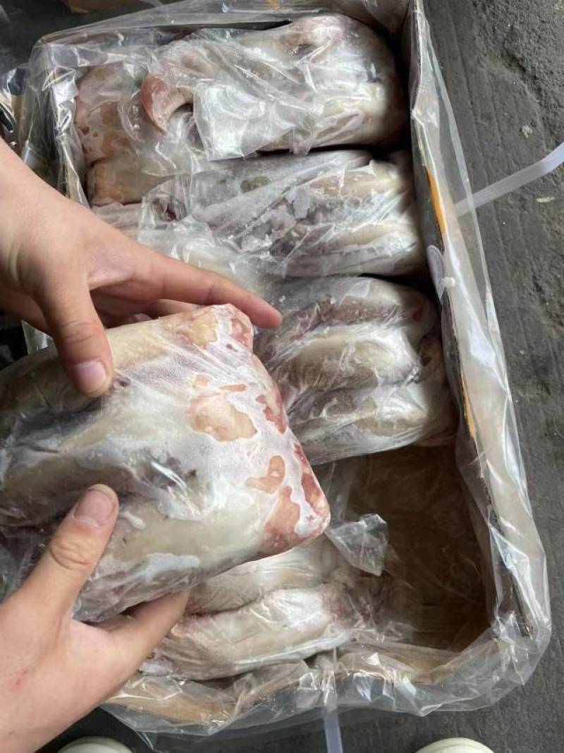 不带舌根的口舌