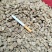党参精选党参段各种规格齐全大货供应党参个子