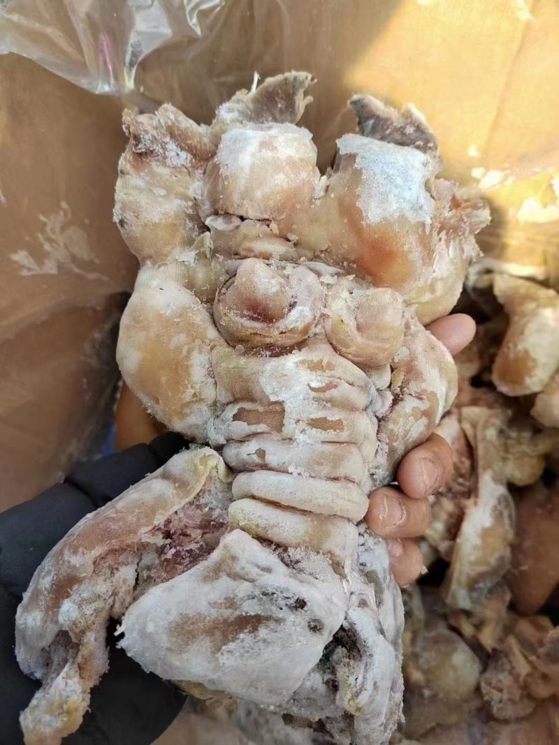 全熟去骨牛蹄真空牛蹄跑江湖摆地摊赶集展销会厂家去骨牛蹄