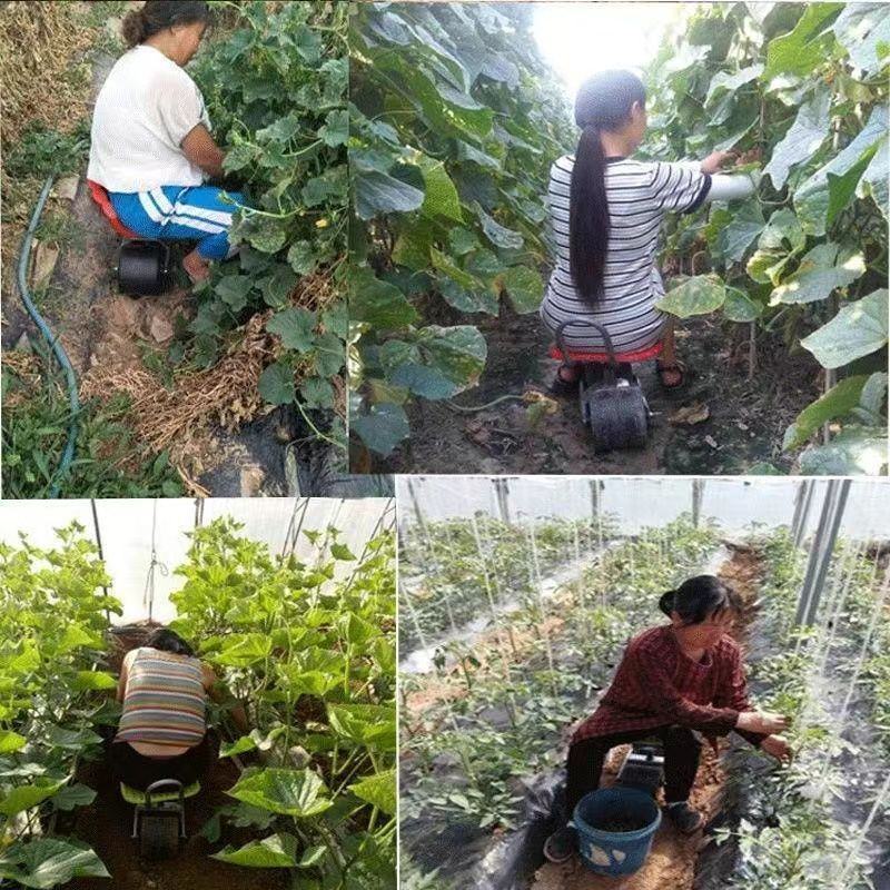 大棚专用凳子懒人车摘草莓田间采拾田里车棚农用蔬菜方便花园