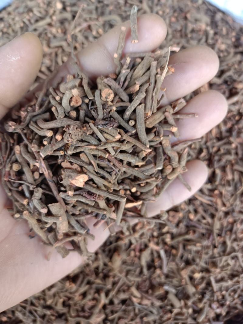 茜草新货茜草干净无杂过筛无硫***正品保障大货批发零售