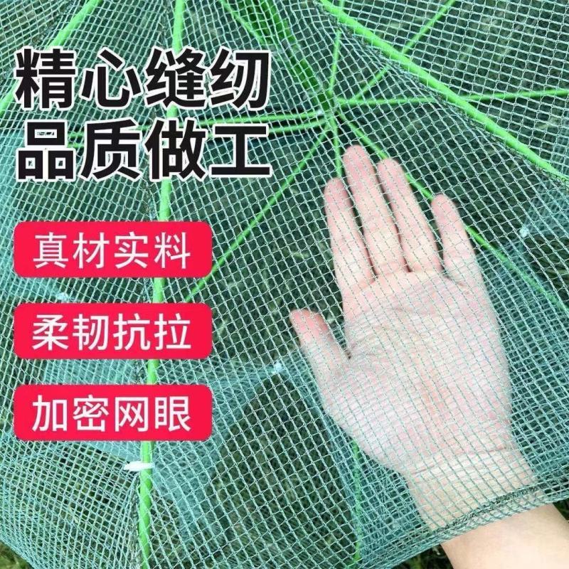 渔网捕虾网捉鱼工具可折叠河虾笼子螃蟹黄鳝泥鳅龙虾笼鱼网虾