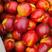 山东油桃大量上市销售品种多，口感甜质优价廉，全国发货
