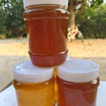 野生蜂蜜