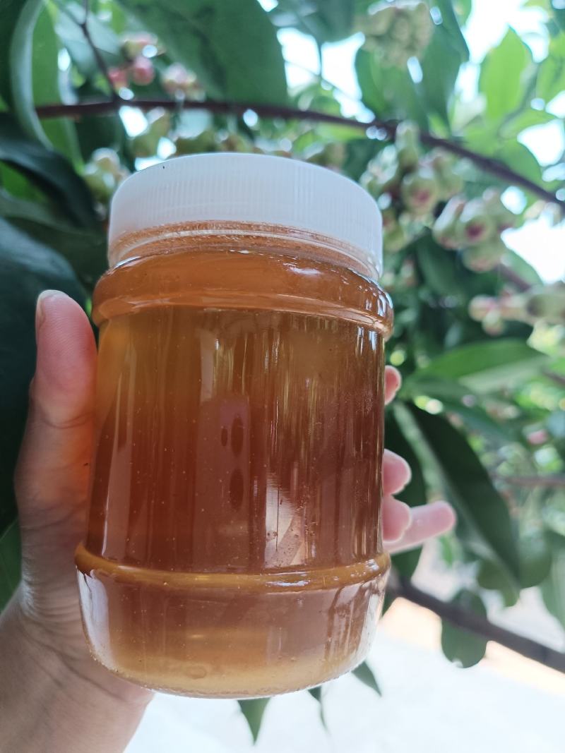 野生蜂蜜