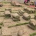 马尼拉草坪。