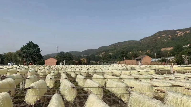 粉丝豌豆粉丝春林粉丝宝鸡粉丝地摊粉丝工厂货源