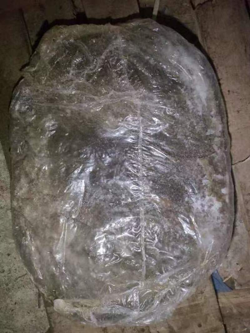 广西南宁精品牛百叶，厂家一手货源，货源充足稳定，量大从优