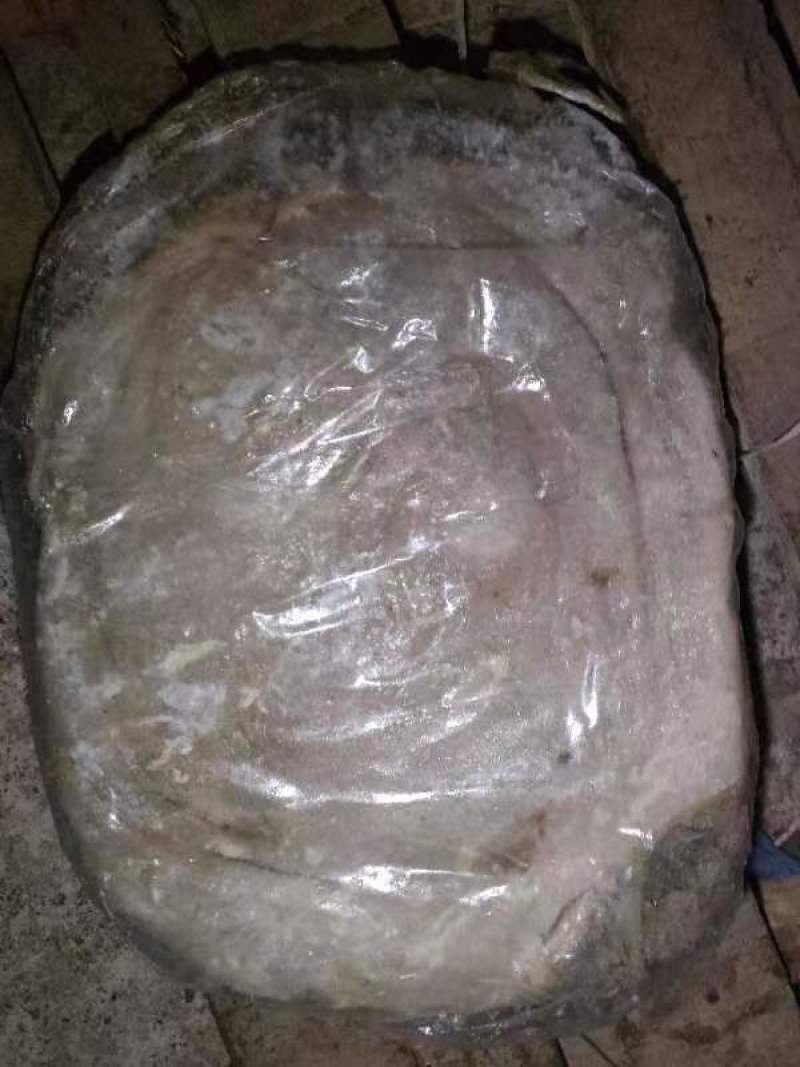 广西南宁精品牛百叶，厂家一手货源，货源充足稳定，量大从优
