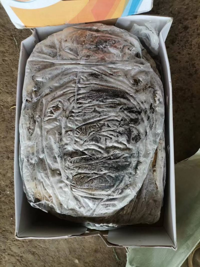 广西南宁精品牛百叶，厂家一手货源，货源充足稳定，量大从优