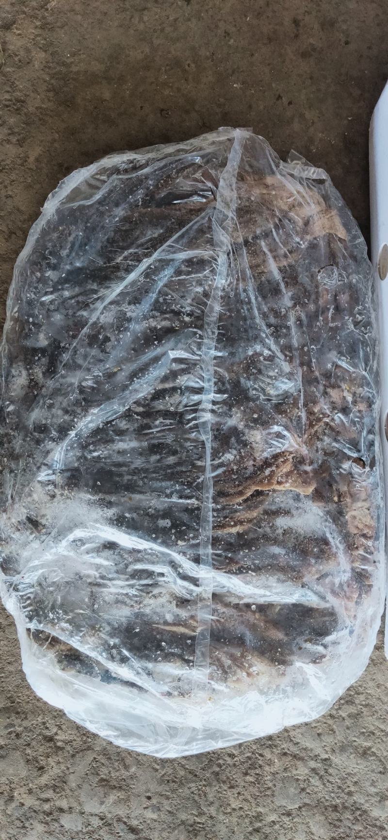广西南宁精品牛百叶，厂家一手货源，货源充足稳定，量大从优