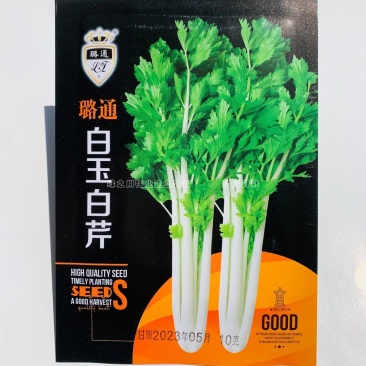 四季芹菜种籽璐通白玉白芹菜种子纤维少耐抽苔香味浓耐热耐寒