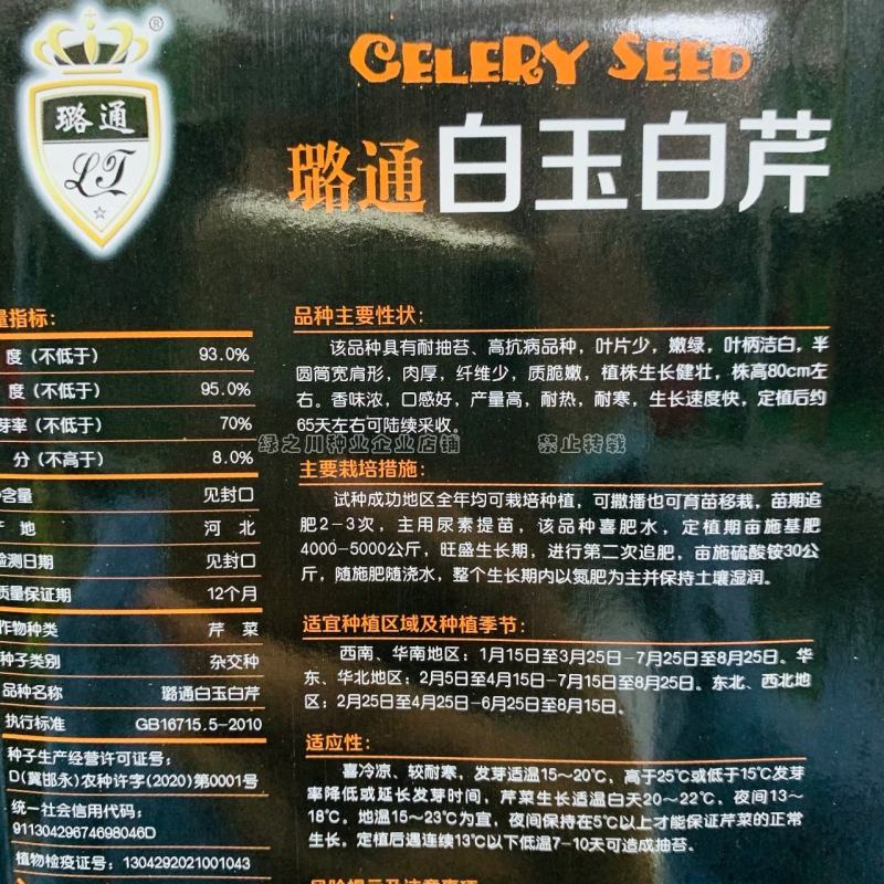 四季芹菜种籽璐通白玉白芹菜种子纤维少耐抽苔香味浓耐热耐寒