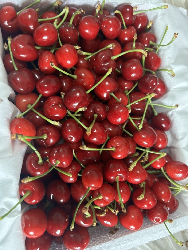 美早大樱桃🍒产地直供，支持各平台电商一件代发空运冷链次达
