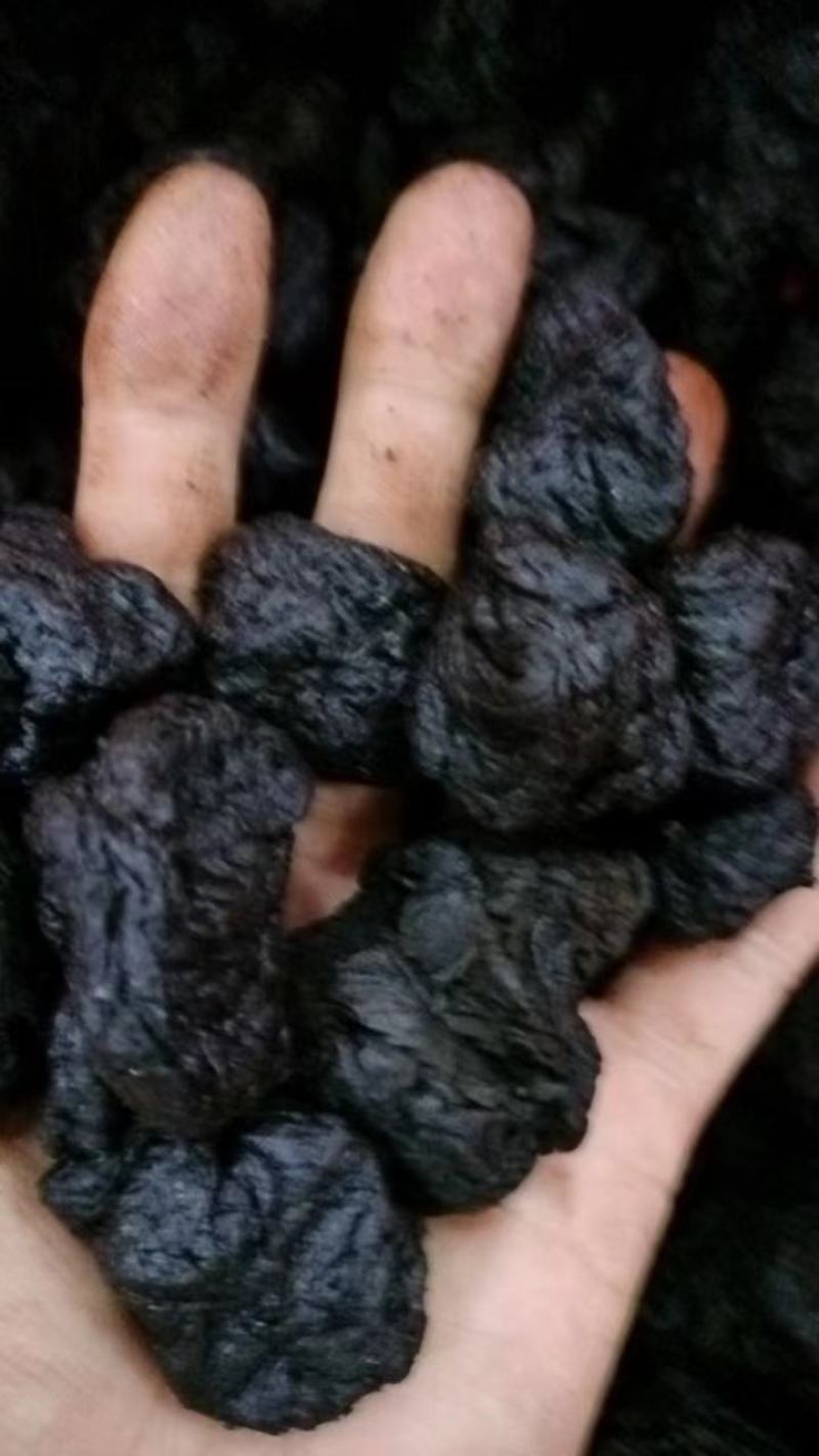 【精品】河南熟地黄货量充足量货源充足，量大从优，物价美