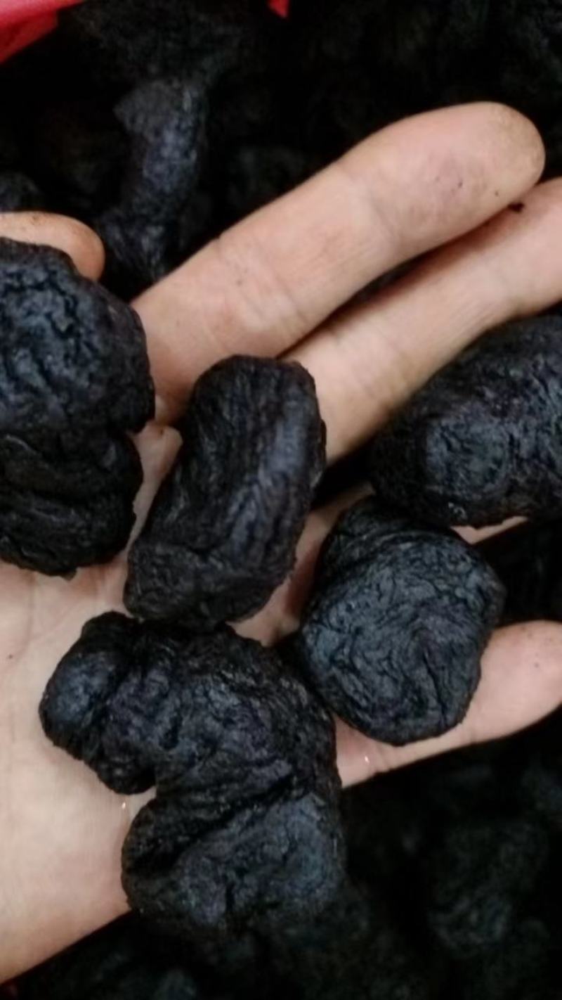 【精品】河南熟地黄货量充足量货源充足，量大从优，物价美