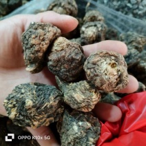 【精品】玛卡货量充足量货源充足，量大从优，物美价廉