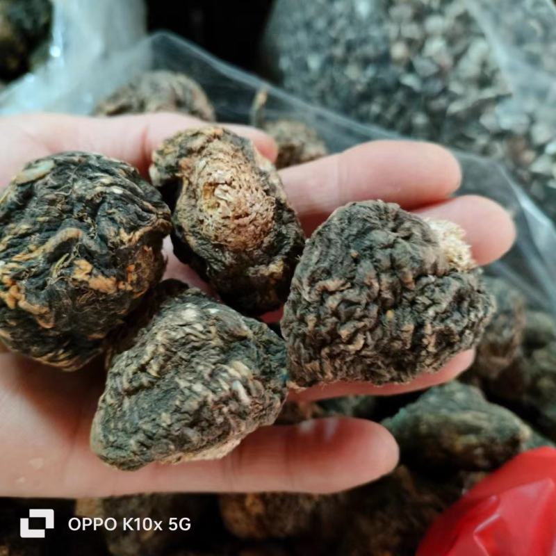 【精品】玛卡货量充足量货源充足，量大从优，物美价廉
