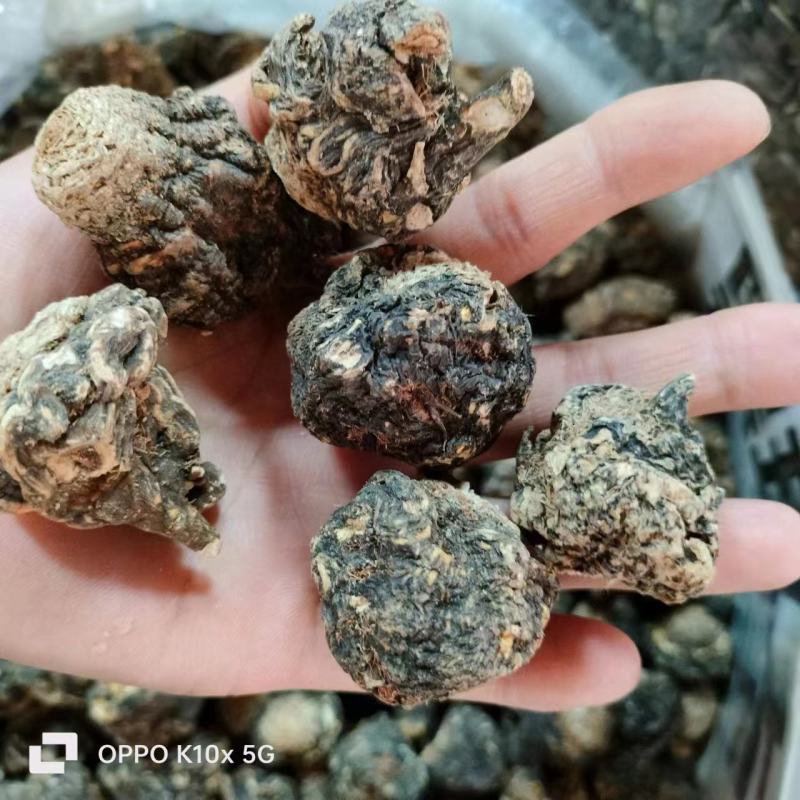 【精品】玛卡货量充足量货源充足，量大从优，物美价廉
