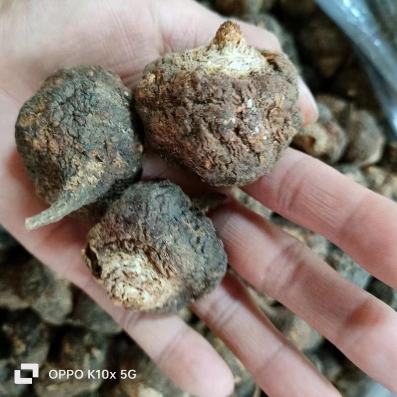 【精品】玛卡货量充足量货源充足，量大从优，物美价廉