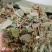 【精品】金钱草货量充足量货源充足，量大从优，物美价廉