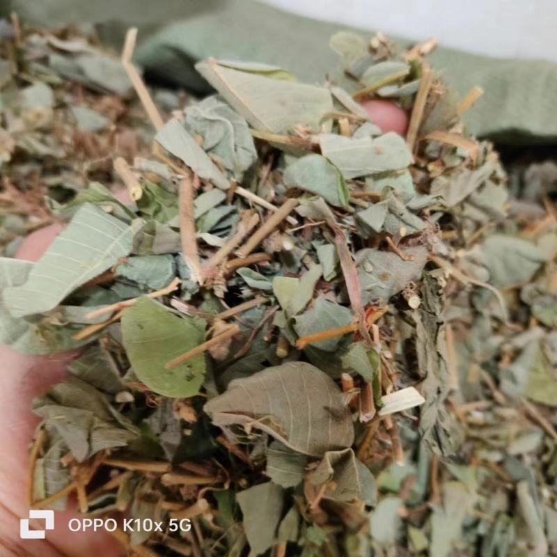 【精品】金钱草货量充足量货源充足，量大从优，物美价廉