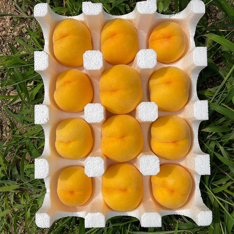 锦绣黄桃产地直发品质保证供应批发市场和各大超市