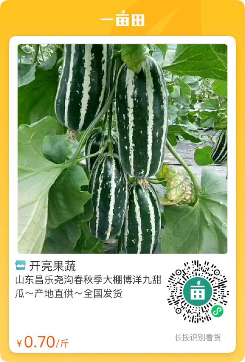 催瓜