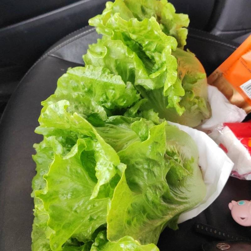 生菜精品生菜精品生菜