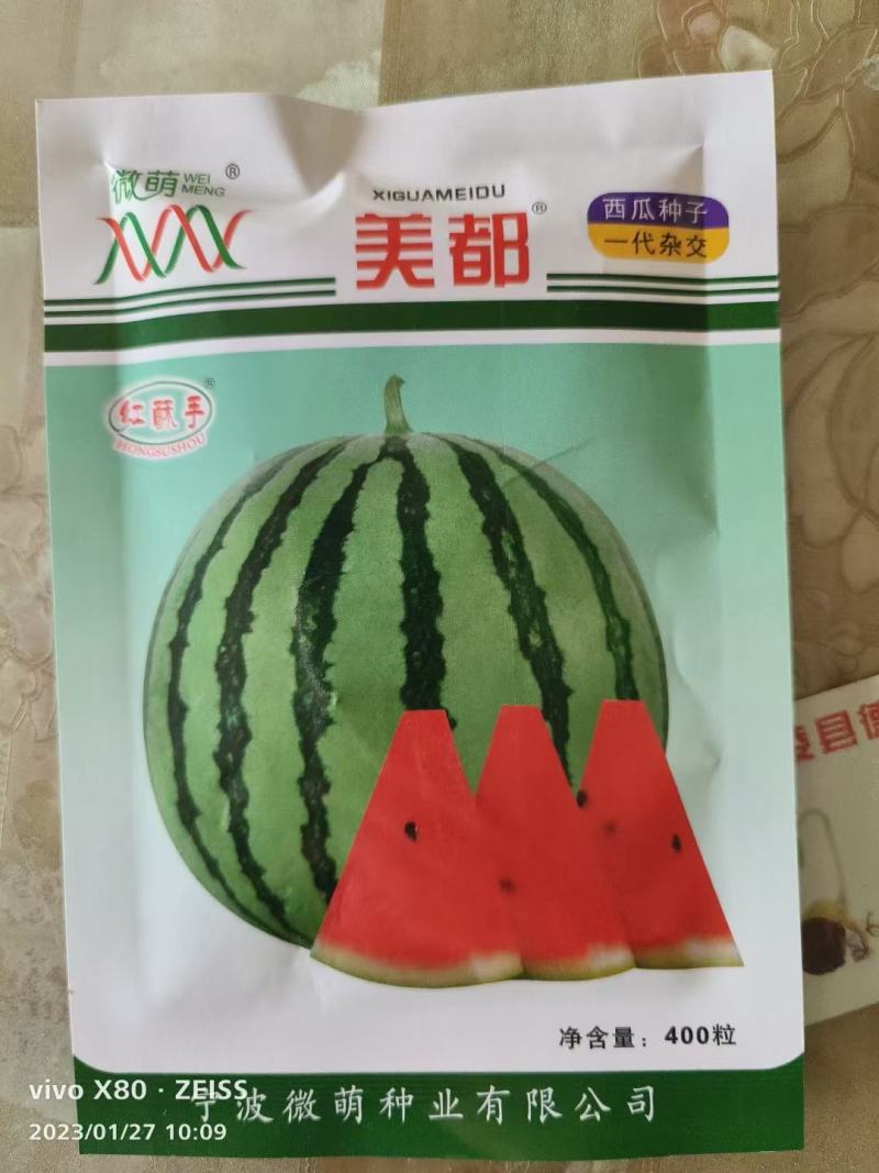 西瓜苗甜王美都2k冰糖子高端礼品瓜，想要的都有