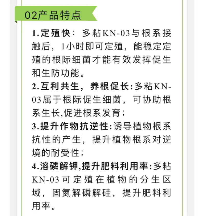 阵地多粘类芽孢杆菌KN-03互利共生养根促长抗逆解磷钾
