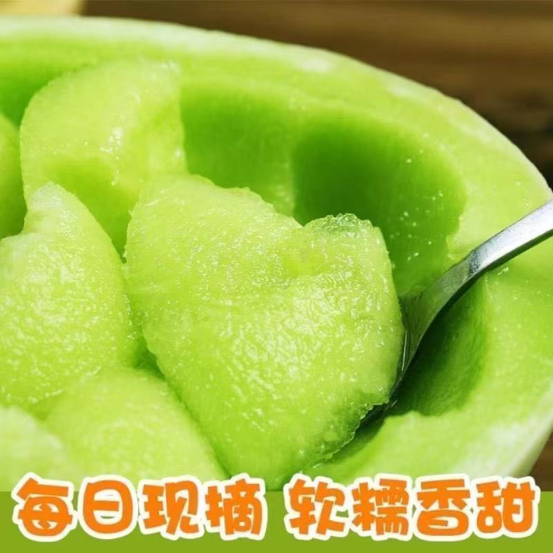 玉菇甜瓜，一件代发，对接各大平台团购，直播带货