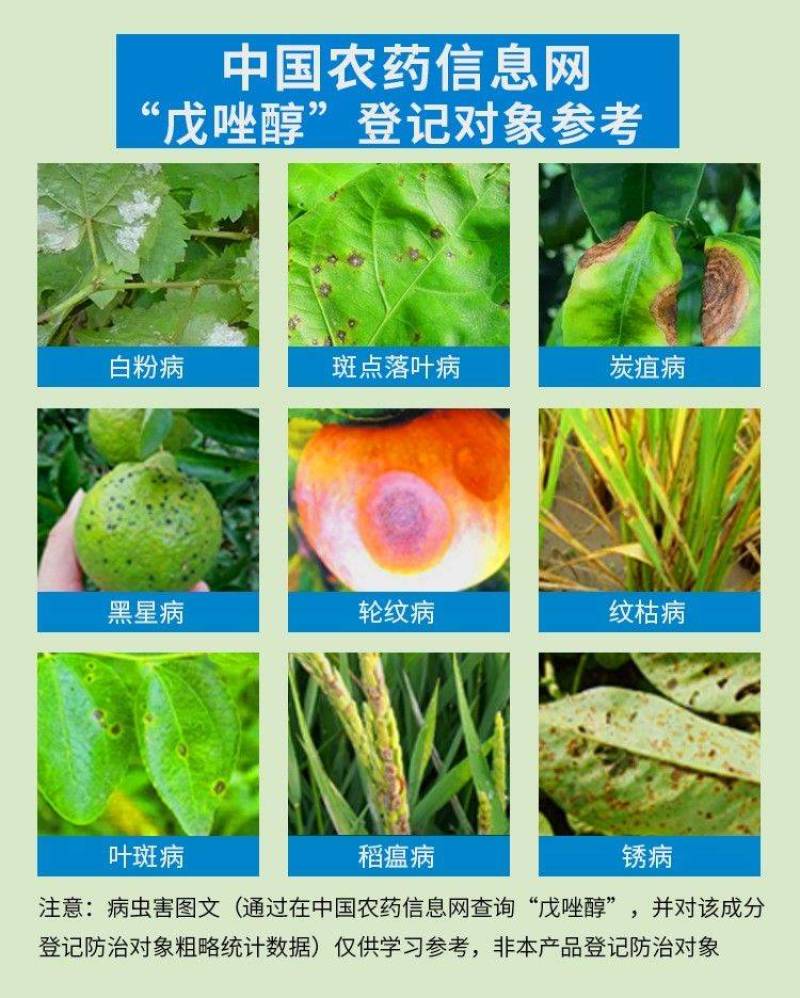 戊唑醇小麦白粉病专用杀菌剂果树蔬菜锈病叶斑病轮纹病黑斑病