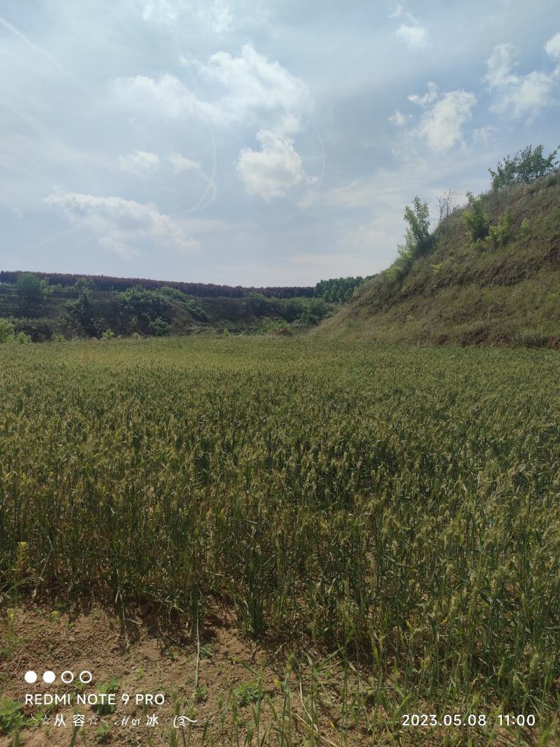 生态农业。自然养殖基地，远离村庄，水电齐全交通便利。