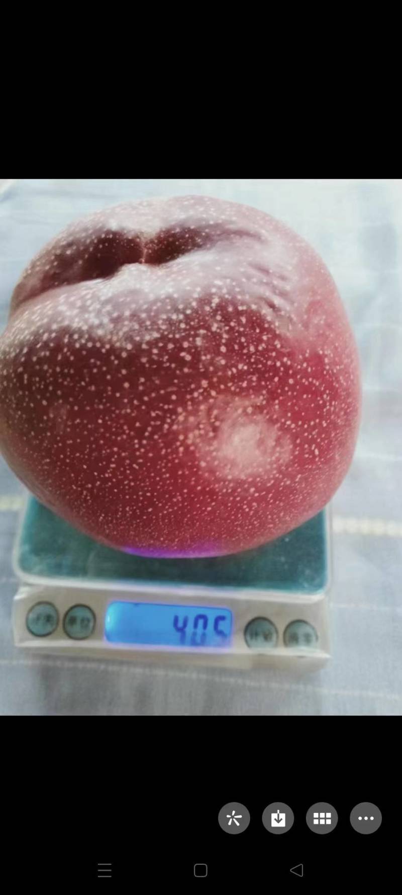 湖北宜城油桃已陆续上市，需要的联系，期待与您竭诚合作。