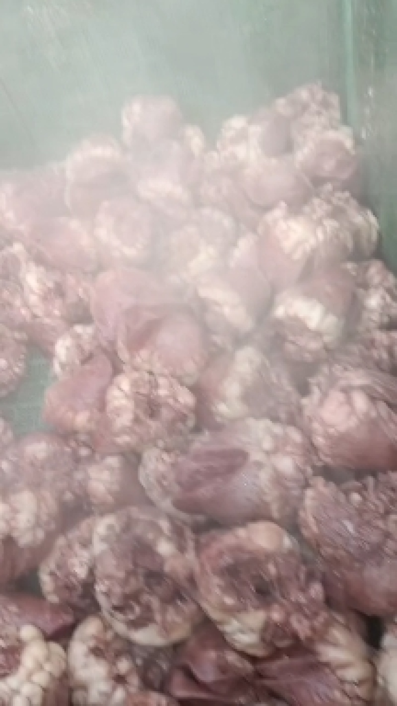 博爱县牛副产品-牛头保质保量一手货源量大优惠欢迎咨询