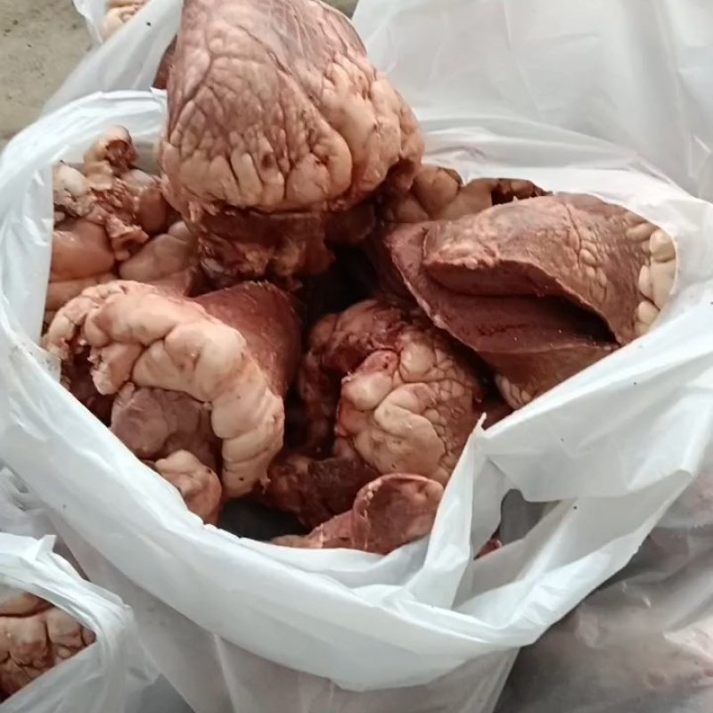 博爱县牛副产品-牛头保质保量一手货源量大优惠欢迎咨询