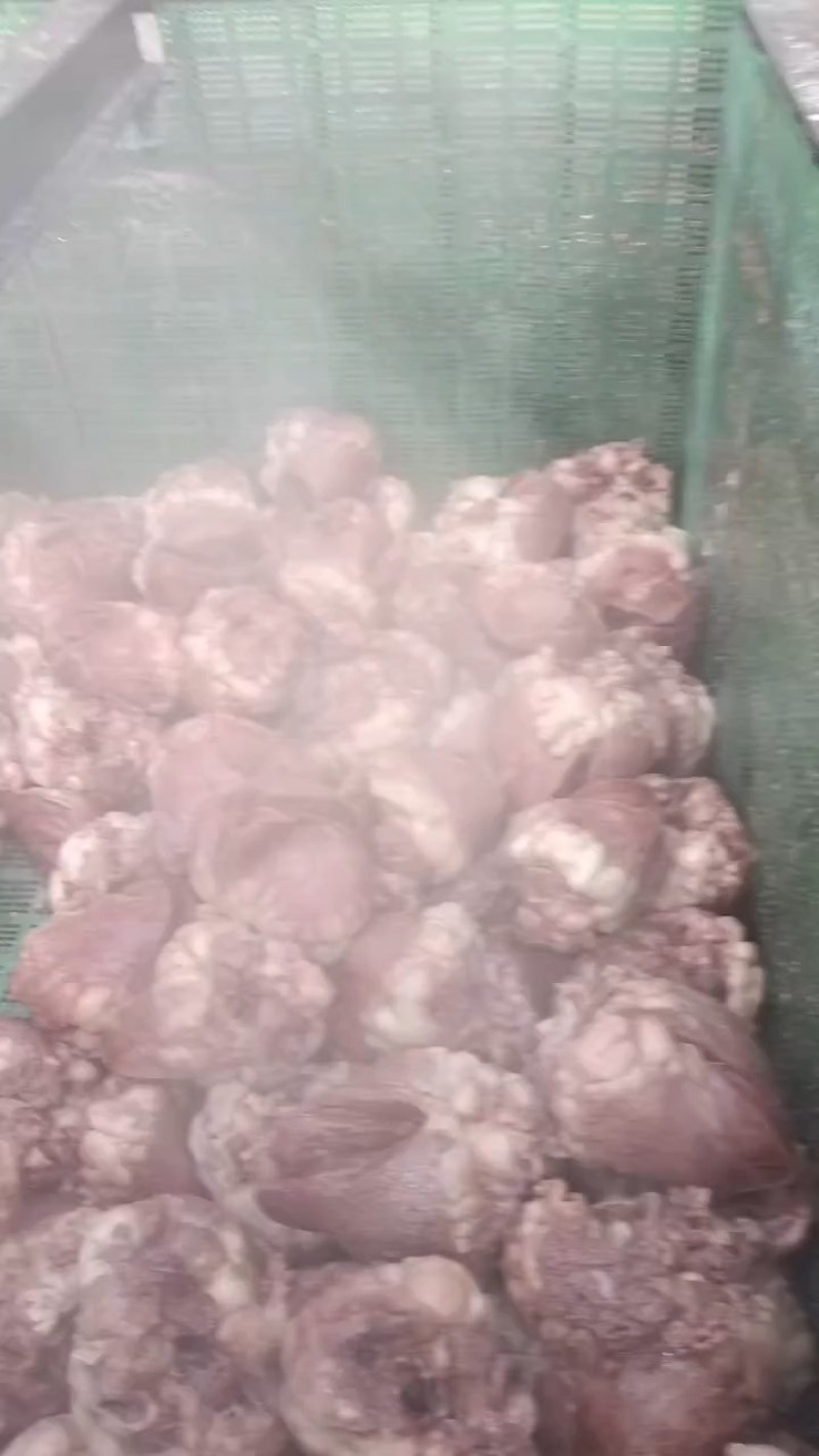 博爱县牛副产品-牛头保质保量一手货源量大优惠欢迎咨询