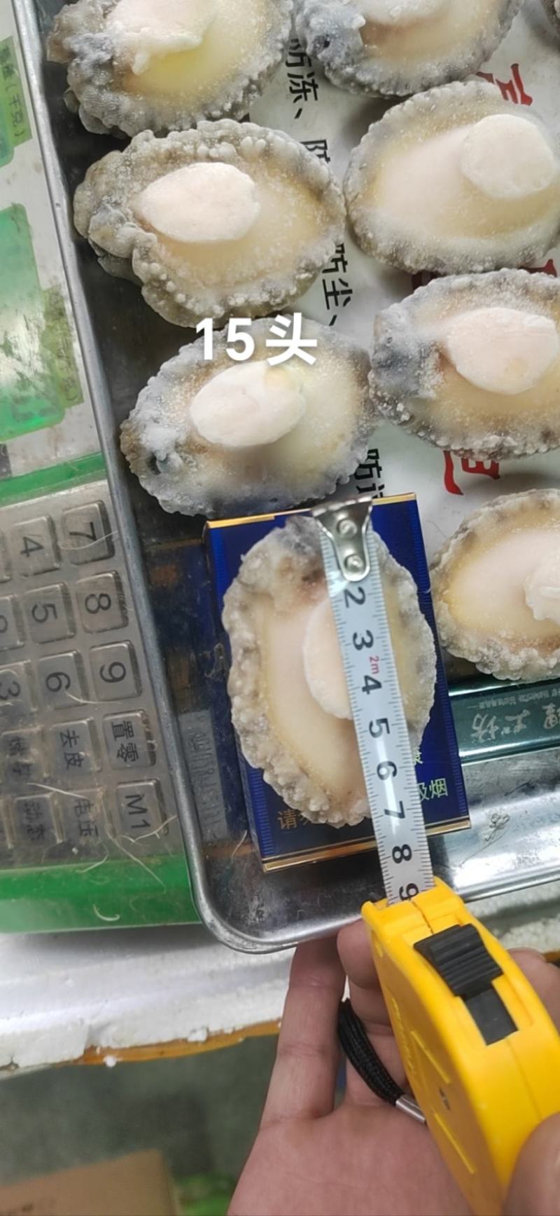 漂烫8-9分熟鲍鱼肉，规格大小齐全，一手货源，