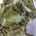 小圆叶淫羊藿无根，高含量符合药典，筛除杂草，有高选货水洗