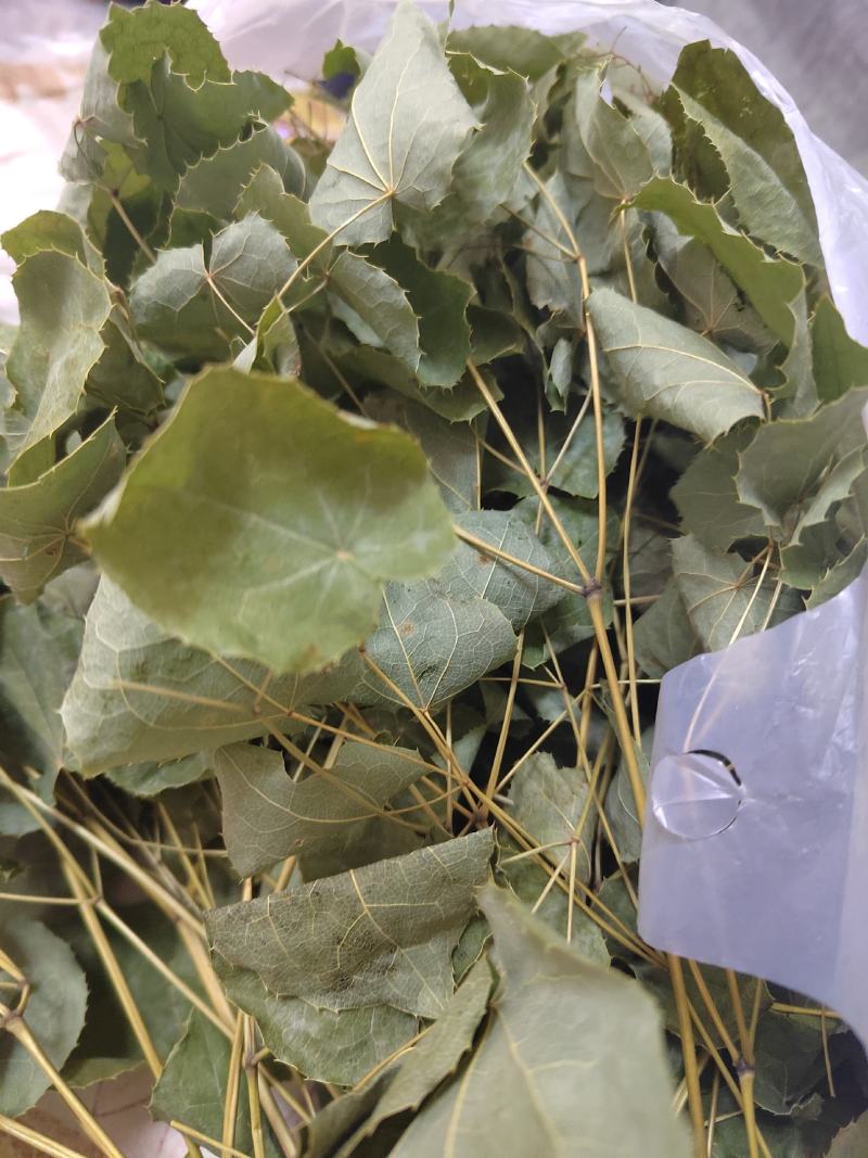 小圆叶淫羊藿无根，高含量符合药典，筛除杂草，有高选货水洗