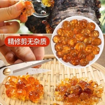 珍珠桃胶散装打磨干净干货美容养颜量大从优